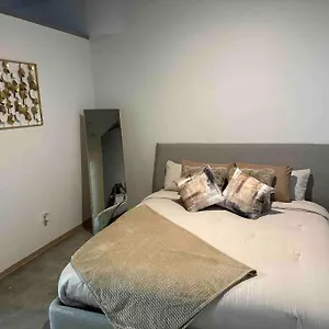 Luxury Cozy Loft Downtown Stl Saint Louis