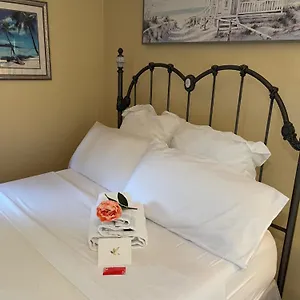 Cozy Near Airport & Highway Saint Louis